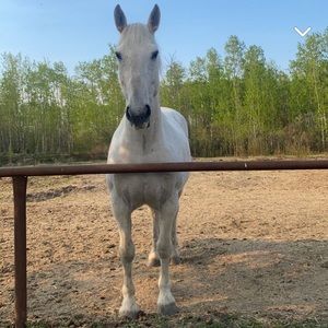 Meet your Posher, Mara